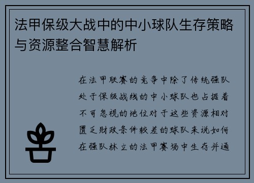 法甲保级大战中的中小球队生存策略与资源整合智慧解析