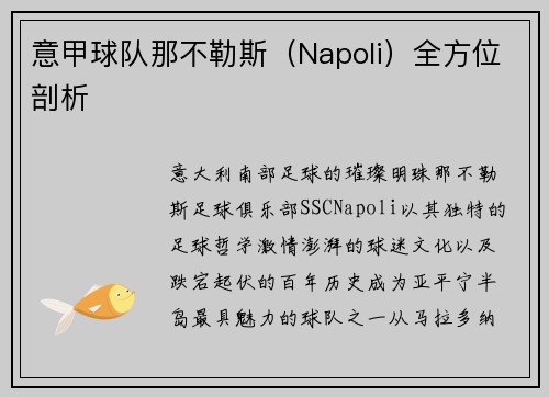 意甲球队那不勒斯（Napoli）全方位剖析