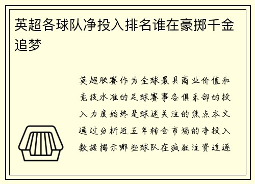 英超各球队净投入排名谁在豪掷千金追梦